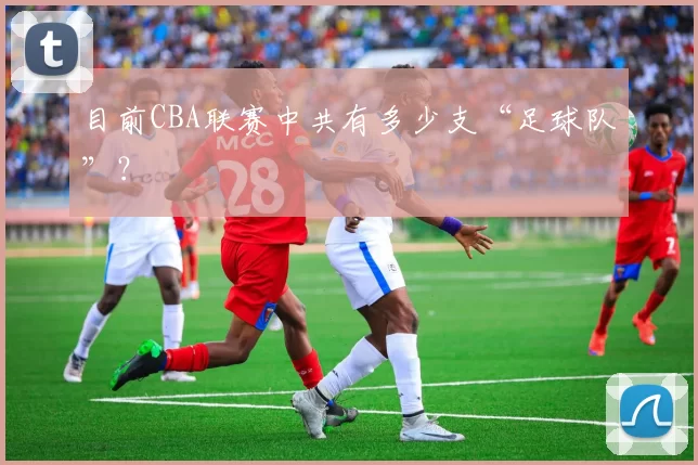 目前CBA联赛中共有多少支“足球队”？