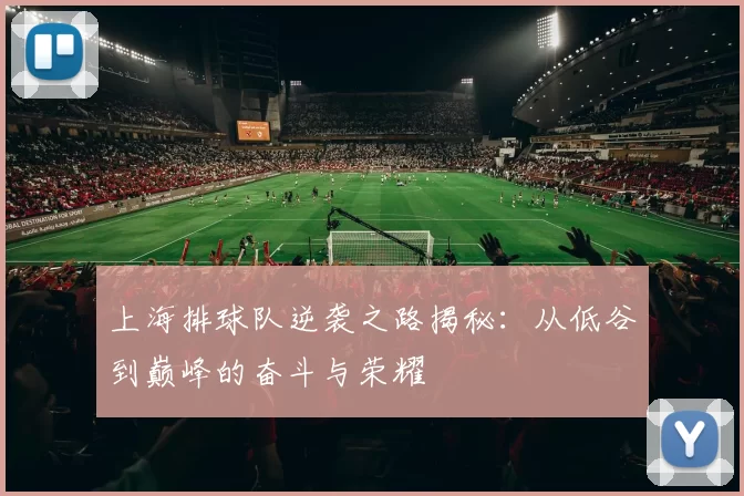 上海排球队逆袭之路揭秘：从低谷到巅峰的奋斗与荣耀