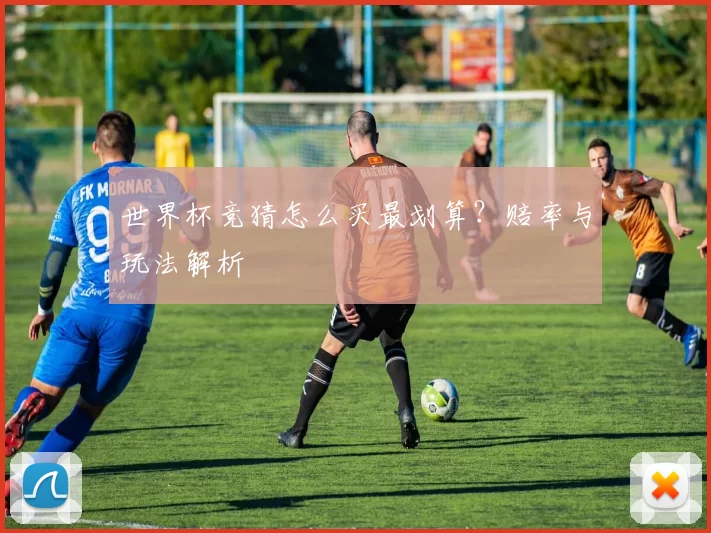 世界杯竞猜怎么买最划算?赔率与玩法解析