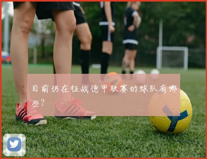 目前仍在征战德甲联赛的球队有哪些？