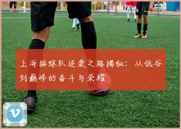 上海排球队逆袭之路揭秘:从低谷到巅峰的奋斗与荣耀