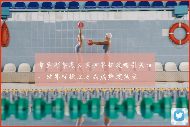 章鱼彩票怎么买世界杯攻略引关注,世界杯投注方式成热搜焦点