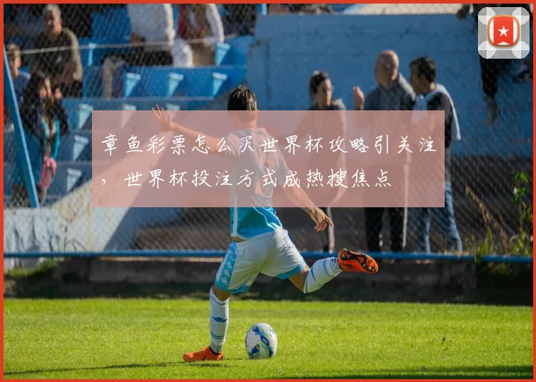 章鱼彩票怎么买世界杯攻略引关注,世界杯投注方式成热搜焦点