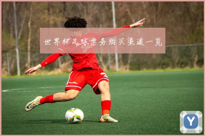 世界杯足球票务购买渠道一览