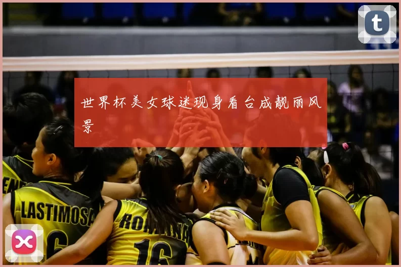 世界杯美女球迷现身看台成靓丽风景