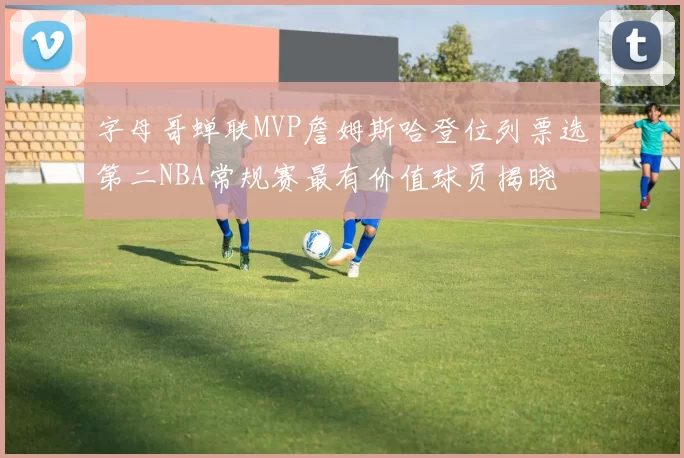 字母哥蝉联MVP詹姆斯哈登位列票选第二NBA常规赛最有价值球员揭晓