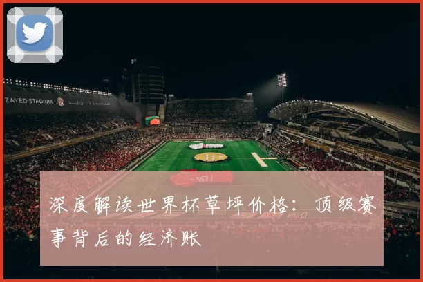 深度解读世界杯草坪价格:顶级赛事背后的经济账