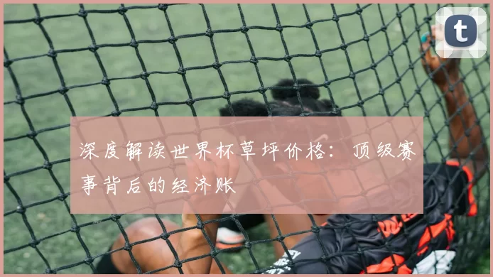 深度解读世界杯草坪价格:顶级赛事背后的经济账