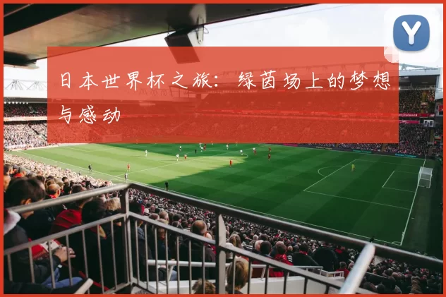 日本世界杯之旅:绿茵场上的梦想与感动