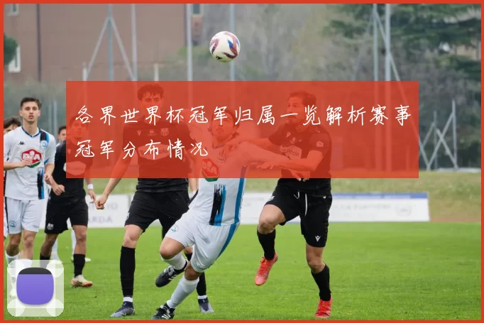 各界世界杯冠军归属一览解析赛事冠军分布情况