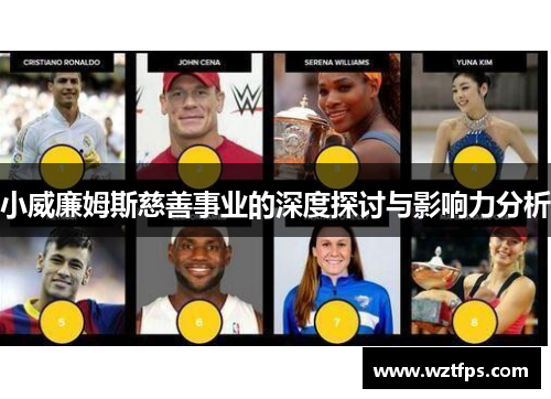 小威廉姆斯慈善事业的深度探讨与影响力分析