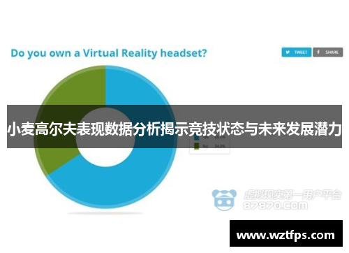 小麦高尔夫表现数据分析揭示竞技状态与未来发展潜力
